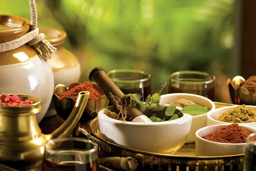 Villa Ayurvedic and Naturopathic Treatments for sell in karjat | Olympeo Retreat |Property with Ayurvedic and Naturopathic Treatments for sell in karjat
